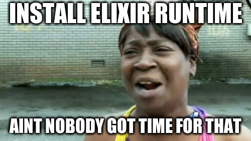 Ain't nobody got time for Elixir dev